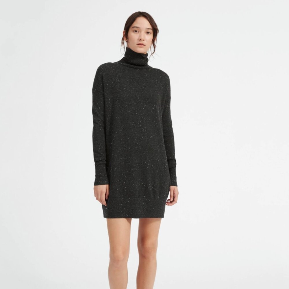Everlane Cashmere Turtleneck Dress - NWOT